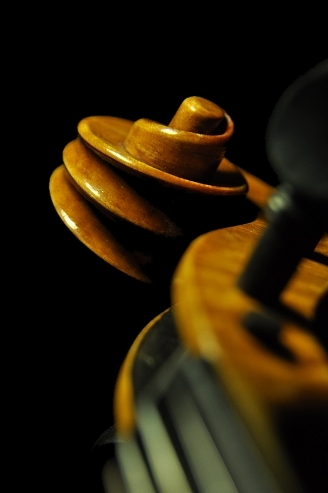 Polo Vettori MAGICO Violin ITALY