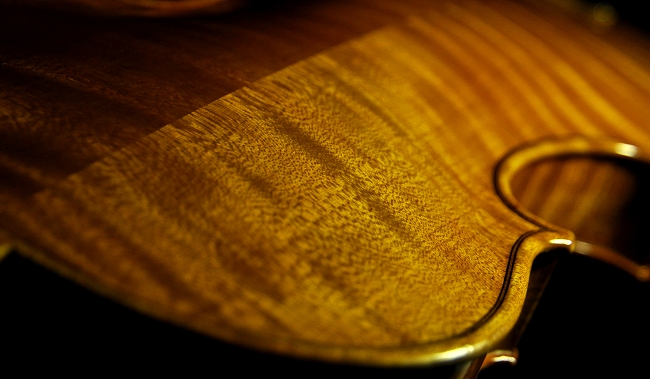 �}�W�R ���F�b�g�[�� �o�C�I����