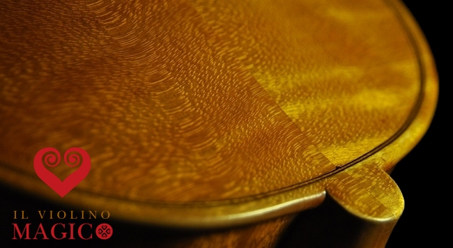 Polo Vettori MAGICO Violin ITALY