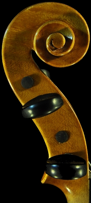 �o�C�I���� ���F�b�g�[�� �C�^���A