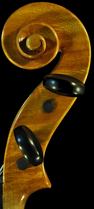 Polo Vettori Violin �C�^���A