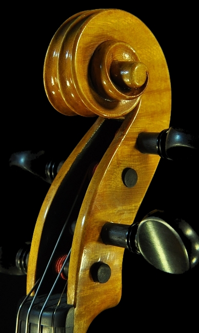 �o�C�I���� ���F�b�g�[�� �C�^���A