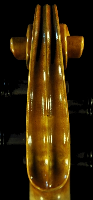 �o�C�I���� ���F�b�g�[�� �C�^���A