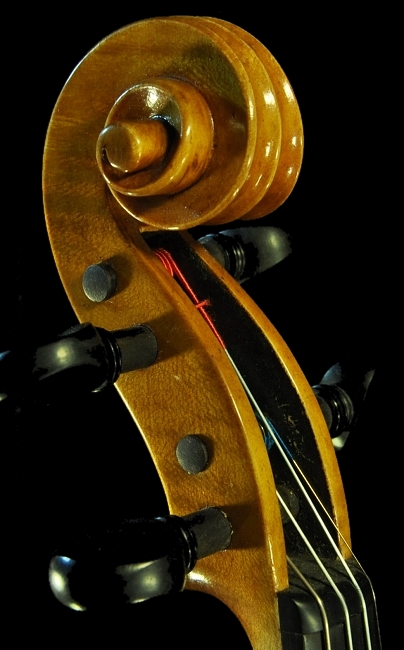 Polo Vettori Violin �C�^���A