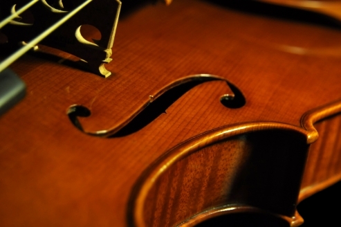 Viola Vincenzo Obici Cremona ITALY