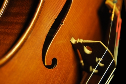 Viola MAGICO Obici Cremona ITALY