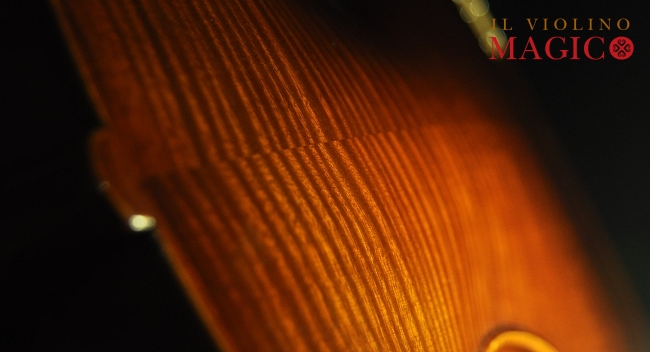 Viola MAGICO Obici Cremona ITALY