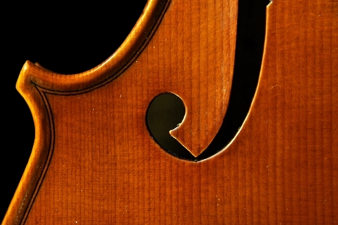 VIOLA MAGICO TOKYO Cremona ITALY