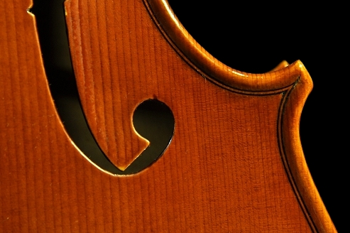 Viola Vincenzo Obici Cremona ITALY