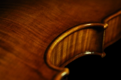 Lapo Vettori MAGICO Violin