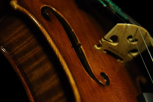 バイオリン ラポ ヴェットーリ マジコ