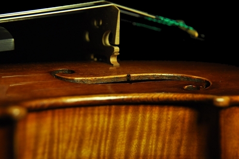 Lapo Vettori MAGICO Violin