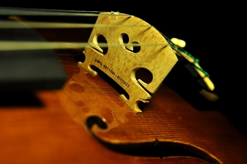 Lapo Vettori MAGICO Violin