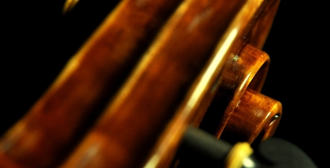 Lapo Vettori MAGICO Violin