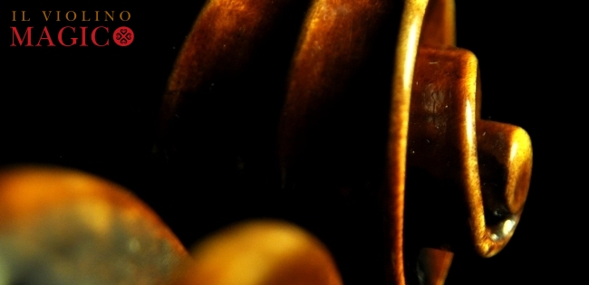 バイオリン ラポ ヴェットーリ マジコ