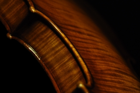 バイオリン ラポ ヴェットーリ マジコ