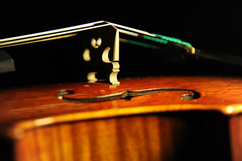 �}�W�R Magico civa �`�[���@