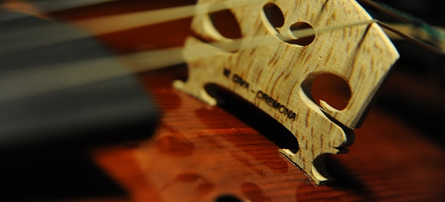 �}�W�R Magico civa �`�[���@