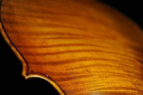 �o�C�I���� �C�^���A �}�W�R