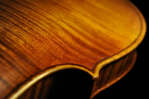 Vettori Violin MAGICO