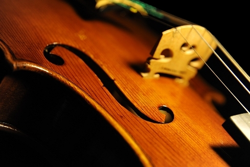 �o�C�I���� �t�B�����c�F �}�W�R