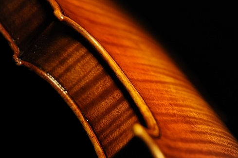 �o�C�I���� �t�B�����c�F �}�W�R