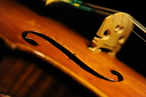 �o�C�I���� �t�B�����c�F �}�W�R