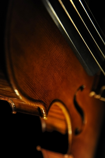 �o�C�I���� �t�B�����c�F �}�W�R