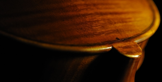 �o�C�I���� ���F�b�g�[�� �}�W�R