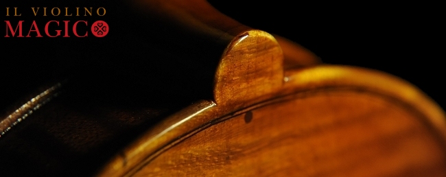 Violin Vettori MAGICO
