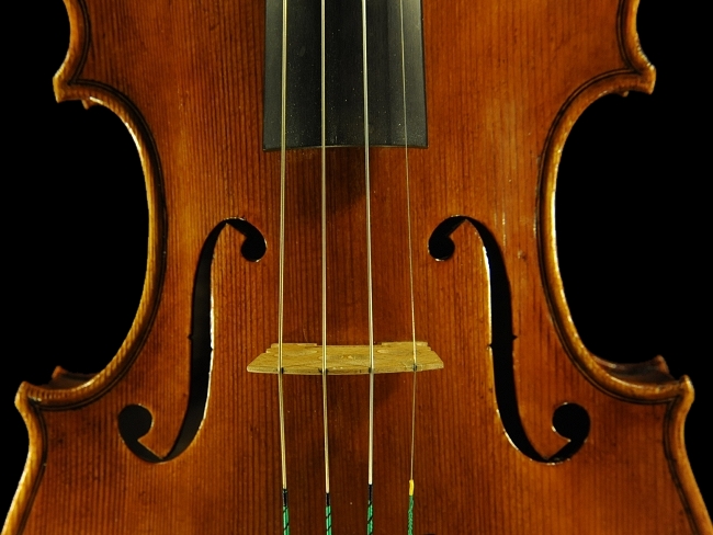 �o�C�I���� ���F�b�g�[�� �}�W�R