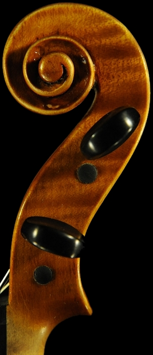 Polo Vettori Violin �C�^���A MAGICO