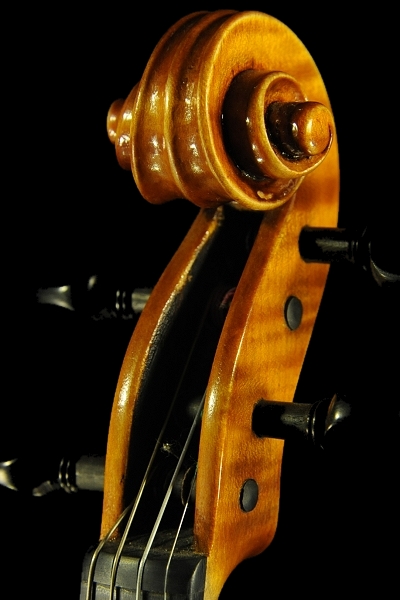 �o�C�I���� ���F�b�g�[�� �C�^���A �}�W�R