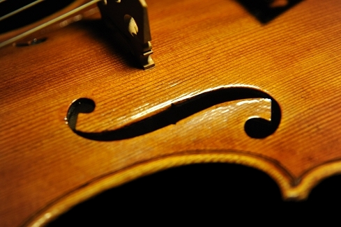 �o�C�I���� �C�^���A �}�W�R