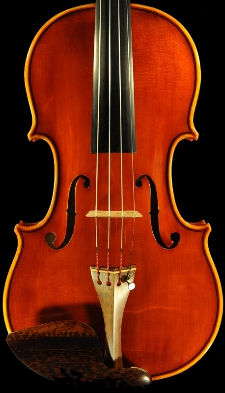 �o�C�I���� �f�B�r�A�b�W�� �C�^���A �}�W�R