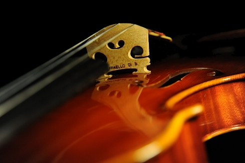 �o�C�I���� �C�^���A �}�W�R