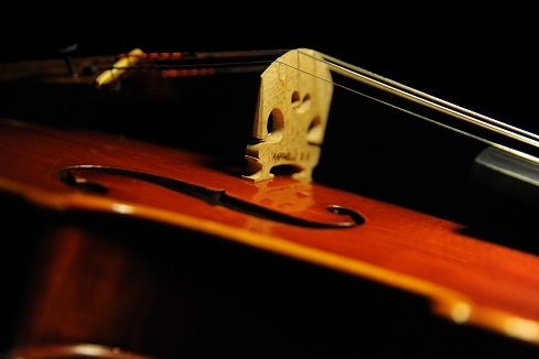 �o�C�I���� �C�^���A �}�W�R