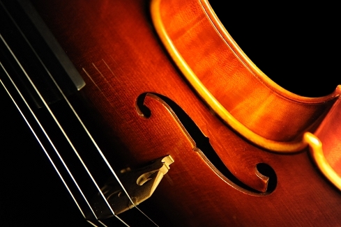 �o�C�I���� �C�^���A �}�W�R