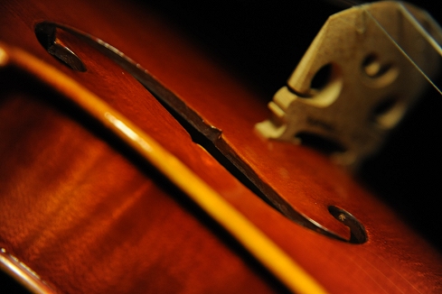 �o�C�I���� �C�^���A �}�W�R