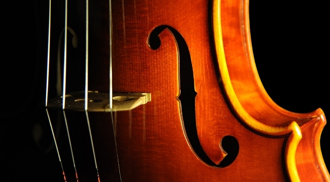 �o�C�I���� �C�^���A �}�W�R