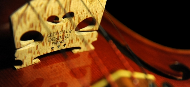 ���t�@�G�� �f�B�r�A�b�W��