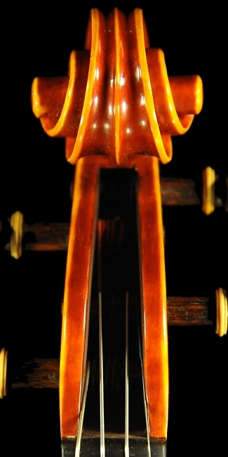 �o�C�I���� �f�B�r�A�b�W�� �C�^���A �}�W�R