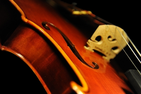 �o�C�I���� �f�B�r�A�b�W�� �C�^���A �}�W�R