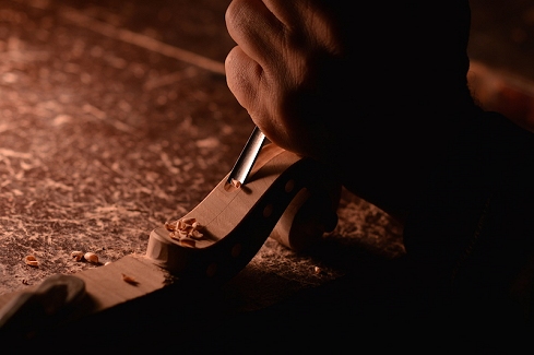 �o�C�I�������� �f�B�r�A�b�W�� �C�^���A