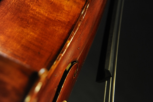 Prokop Cello �}�W�R MAGICO