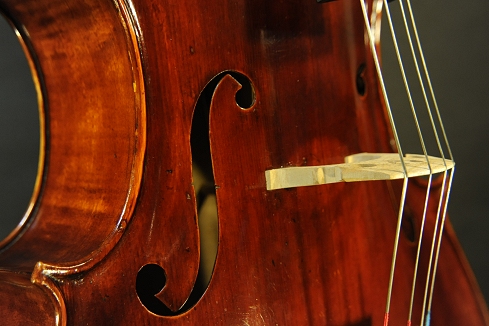 Prokop Cello �}�W�R MAGICO