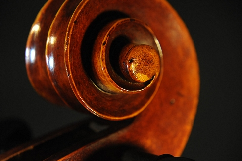 Prokop Cello �}�W�R MAGICO