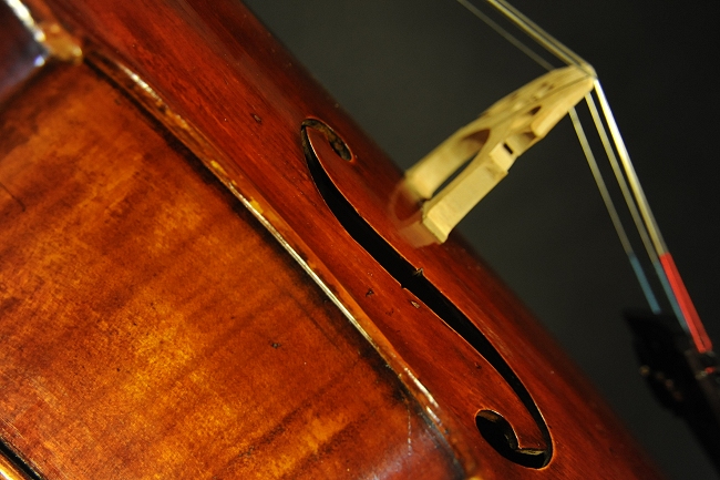 Prokop Cello �}�W�R MAGICO