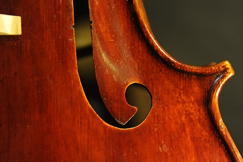 Prokop Cello MAGICO