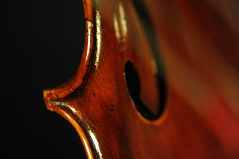 �`�F�� �v���R�b�v ���_�� �}�W�R